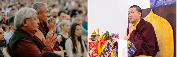 Karmapa, Džigme Rinpočhe, Nedo Rinpočhe