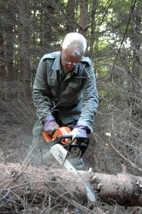 lama Ole