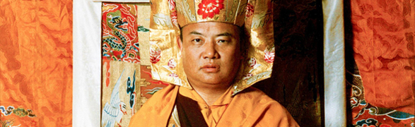 [Banner] H.H. 16. Karmapa Rangjung Rigpe Dorje