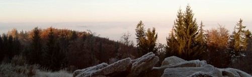 [Banner] Mangútovo - centrum pre ústrania na Slovensku