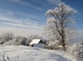Winter in Mangútovo 2012