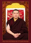 J.S. 17. Karmapa Thajä Dordže sa oženil